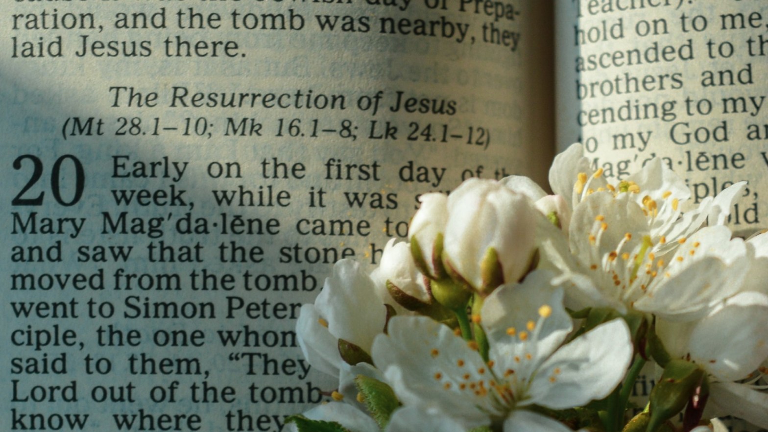 Page of the Bible and flowers