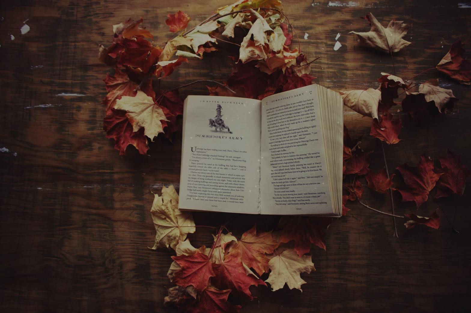 An open book surrounded with leaves