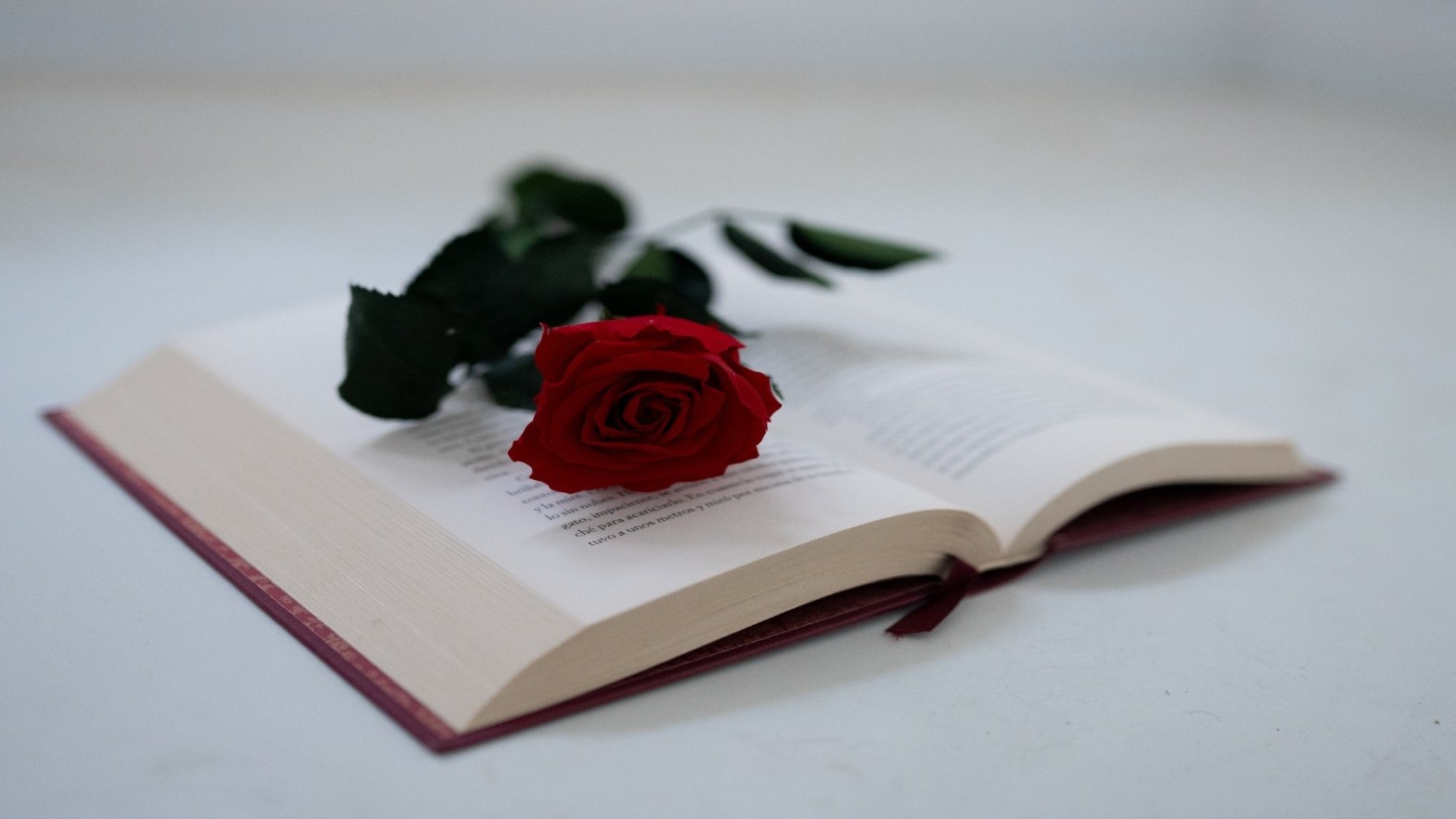A red rose on top of an open book
