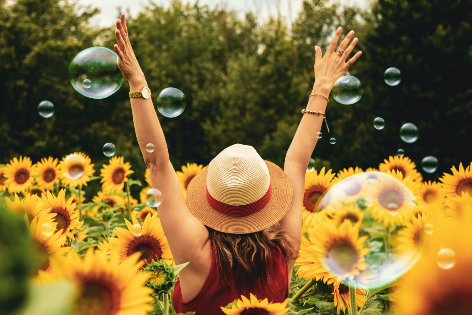 Woman standing on a field of sunflowers.