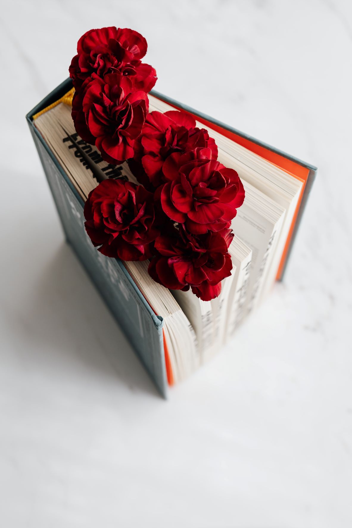book with red roses between pages